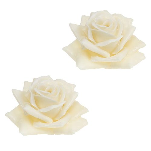 Floristik24 Rosa cera Ø10cm crema 6pcs