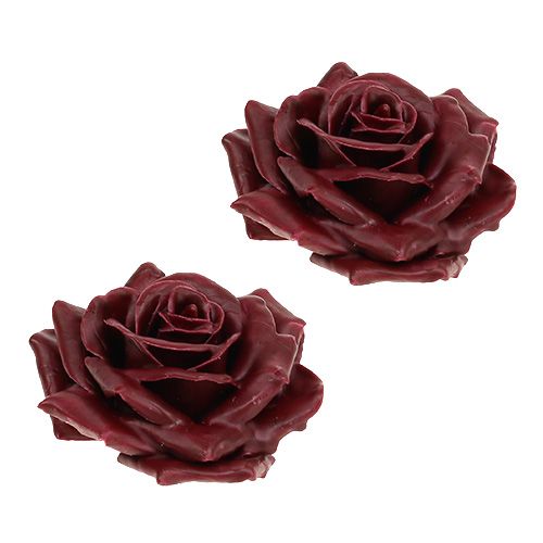 Floristik24 Rosa cera rojo oscuro Ø10cm 6pcs