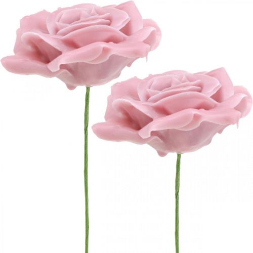 Floristik24 Rosas de cera rosas decorativas cera rosa Ø8cm 12 piezas
