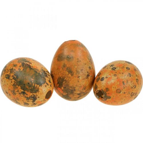 Floristik24 Huevos de codorniz decoración huevos soplados naranja albaricoque 3cm 50ud