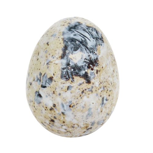 Artículo Huevos de codorniz blanco veteado 3,5cm - 4cm 50 uds.