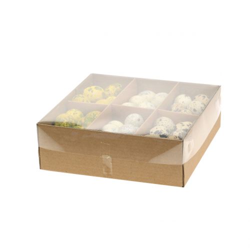 Floristik24 Surtido de huevos de codorniz amarillo natural 3cm 62uds