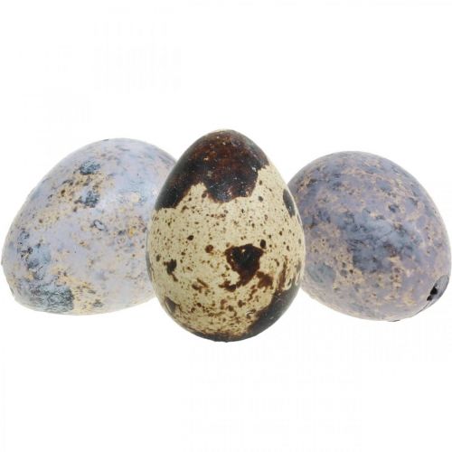 Floristik24 Mezcla de huevos de codorniz púrpura, violeta, naturaleza huevos vacíos como decoración 3cm 65p