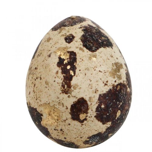 Floristik24 Huevos de Codorniz Deco Huevos Soplados Naturaleza/Oro 3cm 12pcs