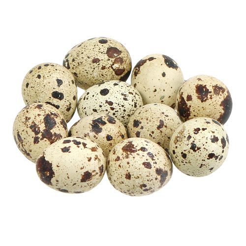 Floristik24 Huevos de codorniz naturaleza 3-3.5cm 12pcs