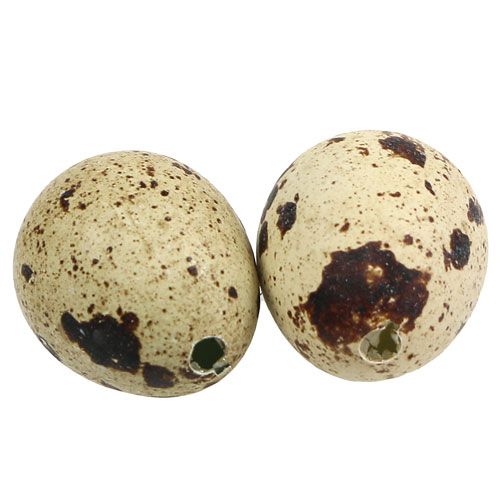 Floristik24 Huevos de codorniz naturaleza 3-3.5cm 12pcs