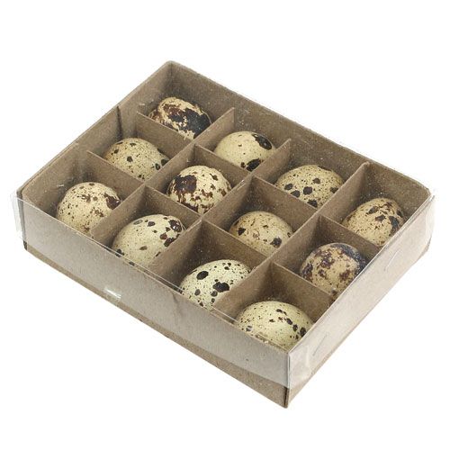 Floristik24 Huevos de codorniz naturaleza 3-3.5cm 12pcs