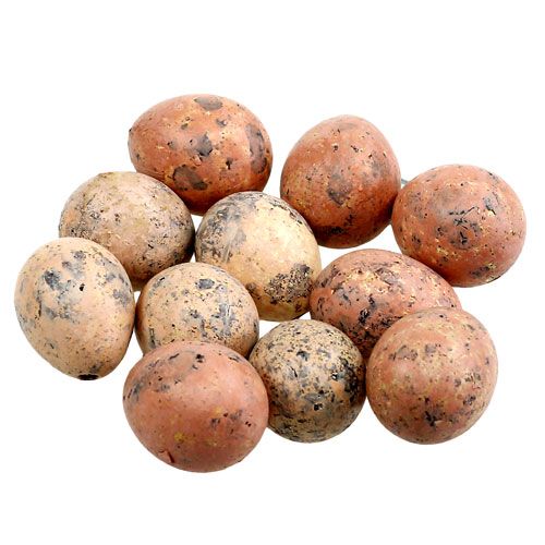 Floristik24 Huevos de codorniz rosa surtido 3cm 12pcs