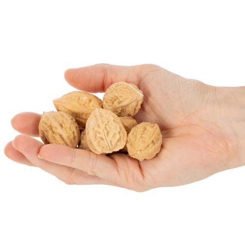 Nueces para decoración, producto natural, 3-4 cm, 300 g | Floristik24.es