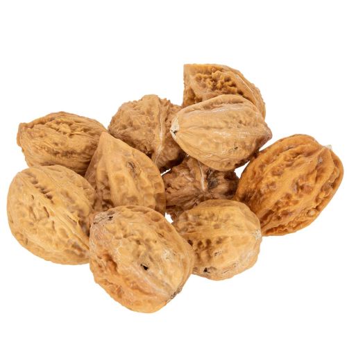 Nueces, un producto natural para la decoración de mesas y proyectos de bricolaje. Nueces naturales, 4-5 cm, 300 g. comprar | Floristik24.es