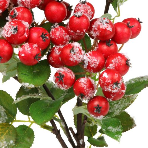 Floristik24 Ramas navideñas con frutos rojos, decoración de invierno, rojo mora nevado L58cm