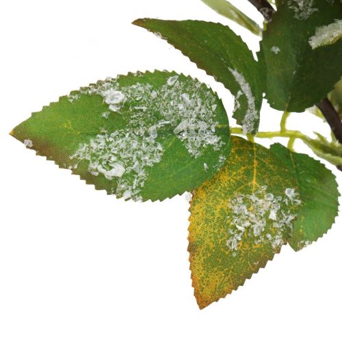 Floristik24 Ramas navideñas con frutos rojos, decoración de invierno, rojo mora nevado L58cm