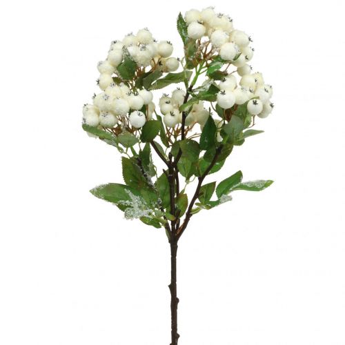 Floristik24 Ramas navideñas, snowberry, planta artificial nevada L58cm