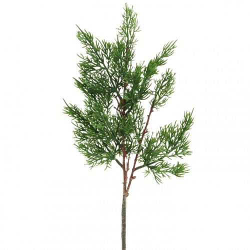 Artículo Ramas navideñas ciprés rama decorativa ramas de ciprés 50cm 4 piezas