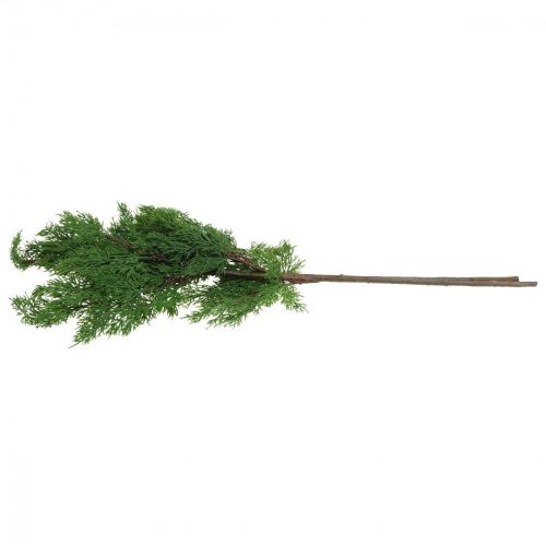 Floristik24 Ramas navideñas ramas de ciprés verde artificial 72cm 2uds