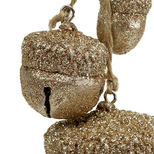 Floristik24 Bellotas deco Champán 3cm-5cm L16cm 3pzs