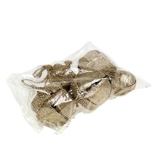 Floristik24 Bellotas deco Champán 3cm-5cm L16cm 3pzs