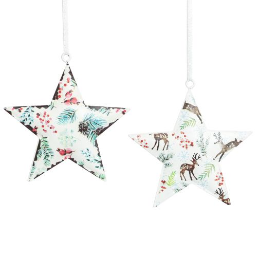 Artículo Adornos navideños estrella ciervo agujas bayas Ø8cm 6 piezas