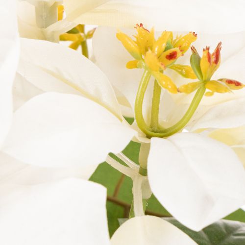 Flor de Pascua artificial, blanca, flor grande, planta decorativa, 40 cm | Floristik24.es
