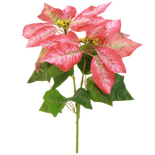 Artículo Poinsettia artificial Rojo Rosa L35cm 6 piezas 2 racimos