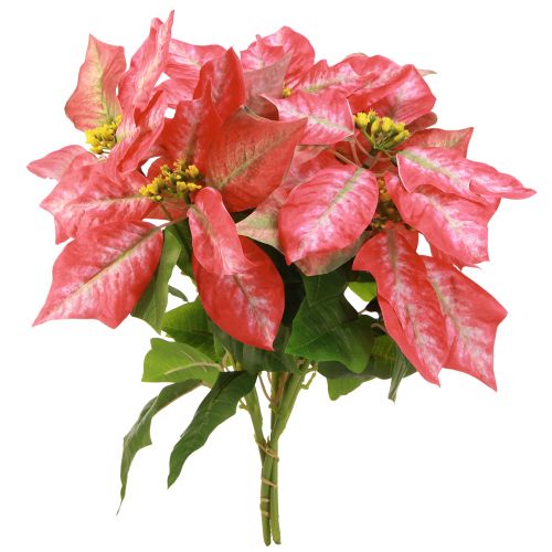 Artículo Poinsettia artificial Rojo Rosa L35cm 6 piezas 2 racimos