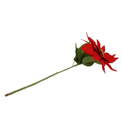 Floristik24 Estrella navideña roja 57cm 1p