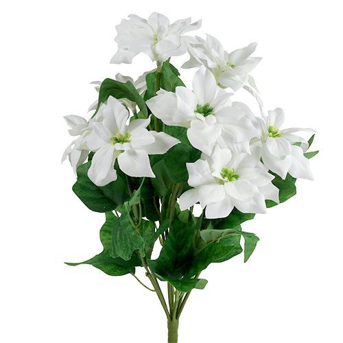 Ramo de poinsettia blanco L45cm