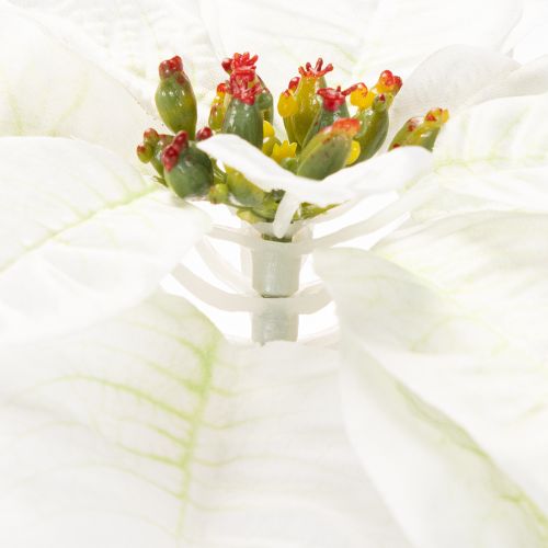 Flor de Pascua blanca artificial, decoración de rama florida grande, 65 cm, 2 piezas | Floristik24.es