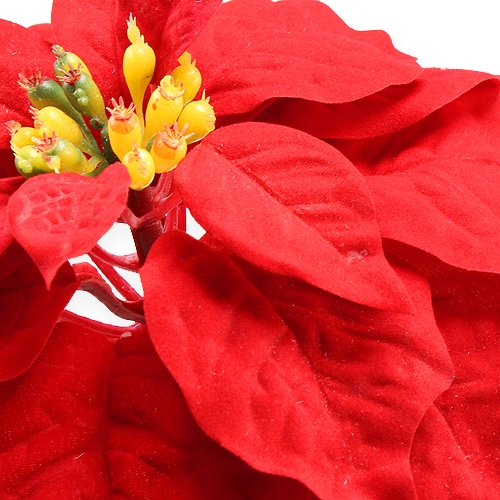 Artículo Flor de pascua roja 65cm