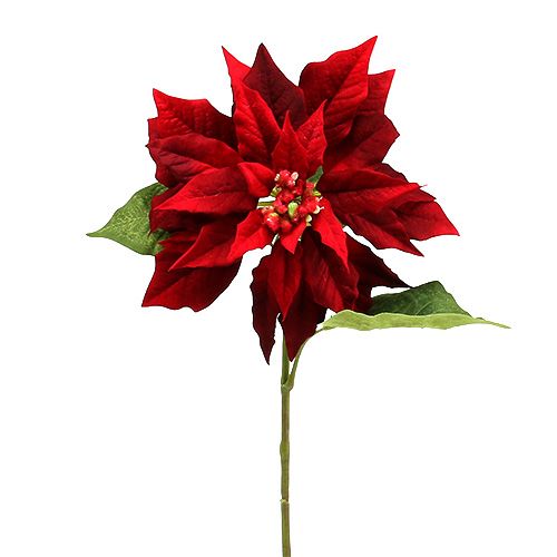 Floristik24 Estrella navideña roja 70cm