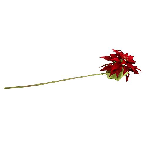 Floristik24 Estrella navideña roja 70cm