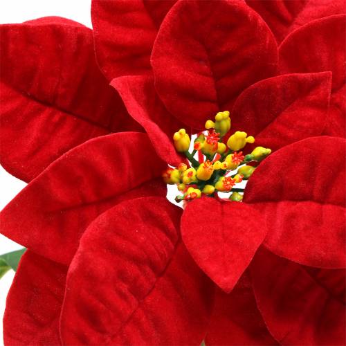 Artículo Flor de nochebuena roja 67cm