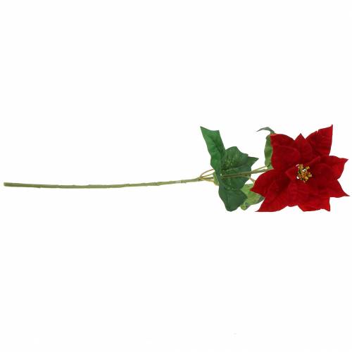 Floristik24 Flor de nochebuena roja 67cm