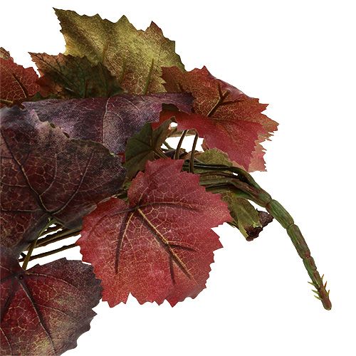 Floristik24 Colgador de hojas de parra verde, rojo oscuro 100cm