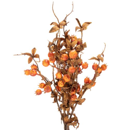 Rama artificial de espino blanco, decoración otoñal, 75 cm. | Floristik24.es