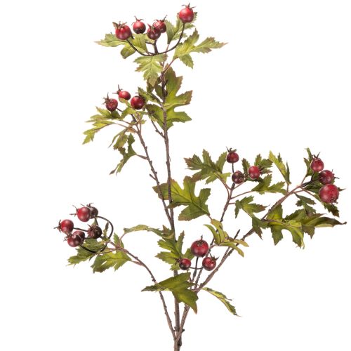 Rama artificial de espino blanco con bayas rojas, decorativa, 110 cm. comprar | Floristik24.es