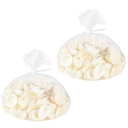 Floristik24 Conchas blancas decorativas de berberechos, 2-3,5 cm, 300 g, 2 unidades