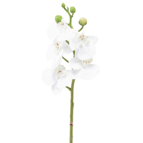 Floristik24 Orquídea Artificial Phalaenopsis Blanca Real Touch 32cm