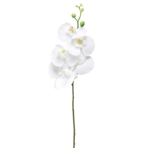 Floristik24 Orquídea Artificial Phalaenopsis Blanca Real Touch 85cm