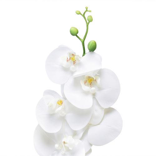 Artículo Orquídea Artificial Phalaenopsis Blanca Real Touch 85cm