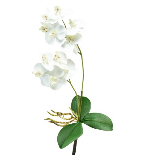 Floristik24 Orquídea Blanca en Púa Phalaenopsis Artificial Real Touch 39cm