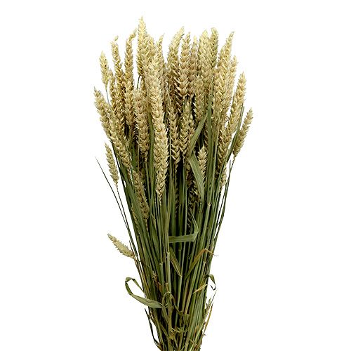 Artículo Manojo de trigo natural deco trigo 1 manojo 150g