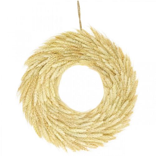 Corona natural, corona de trigo, corona de trigo, corona de grano 37cm