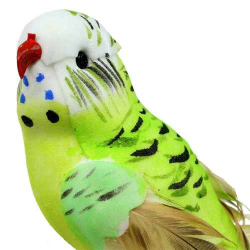 Floristik24 Periquito en clip verde 13cm 6pcs