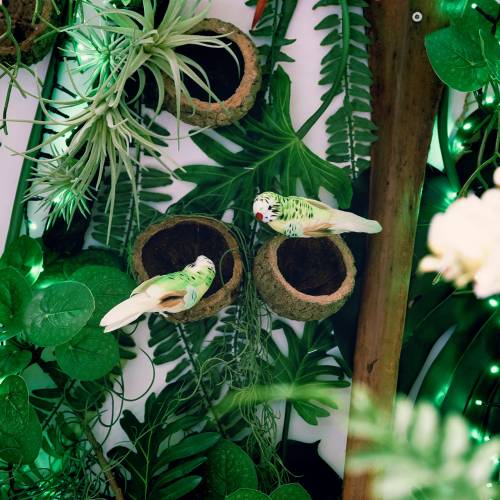 Floristik24 Periquito en clip verde 13cm 6pcs