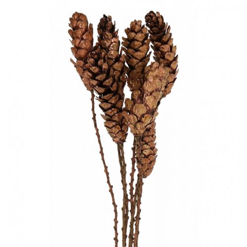 Floristik24 Piñas de pino blanco piñas de cobre 70cm manojo de 7 piezas