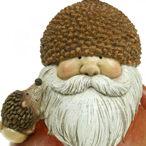 Floristik24 Diablillo con bellota y erizo figura decorativa marrón otoño H19cm