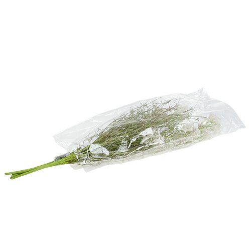 Floristik24 Jardín Flores Blanco L50cm 3pcs