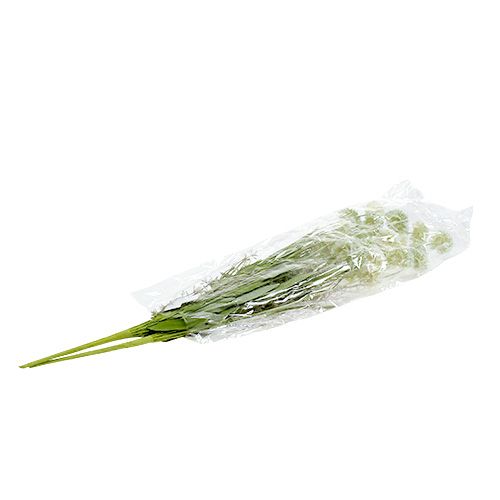 Floristik24 Flores de pradera blanco L60cm 3pcs