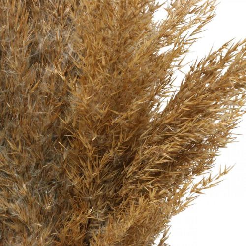 Artículo Hierba seca juncia decoración seca natural 75cm 10p